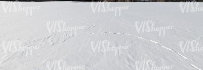 fresh snow with single row of footprints