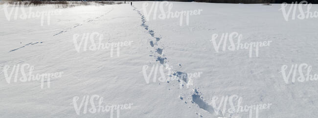 snow field with single path of footprints