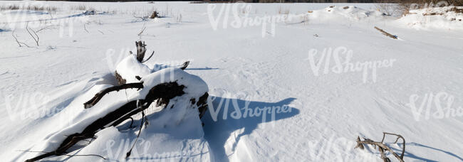 snowy ground with dry wood and grass