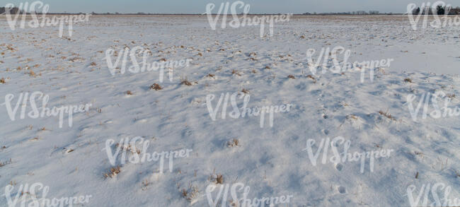 vast grassland in winter with snow