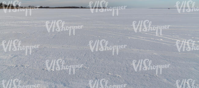 snow covered field in winter sun