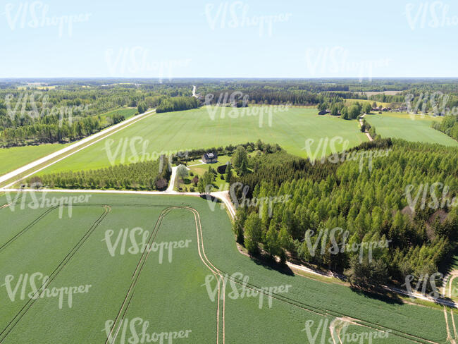 aerial view of green fields in spring