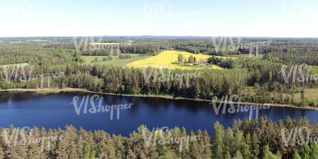 aerial view of a river shore