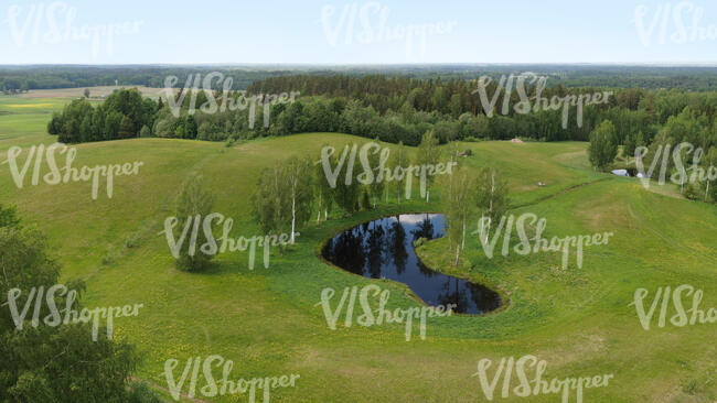 aerial view of a pond in the grassland