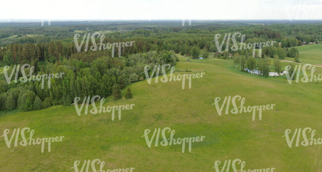 aerial photo of a forest and grassland in spring