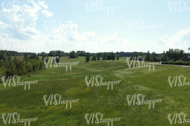 bird-eye view of green grass