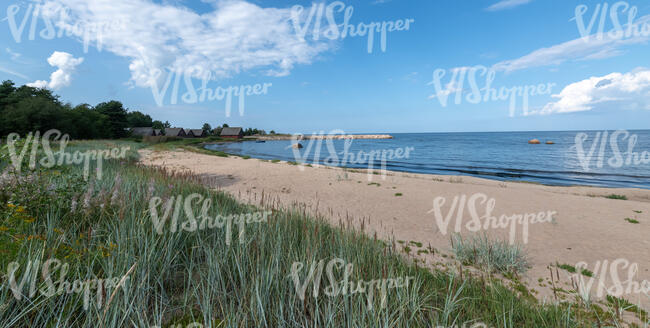 natural seaside in summer