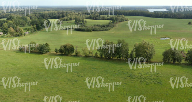 bird eye view of a green fields in countryside