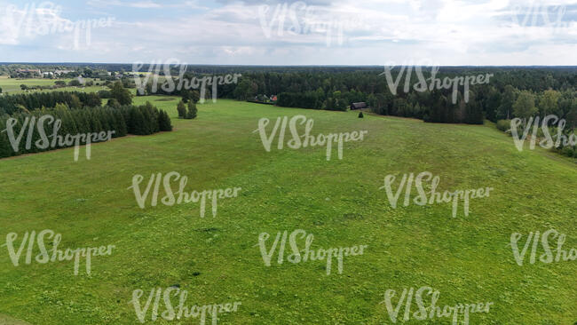 top view of green grassland