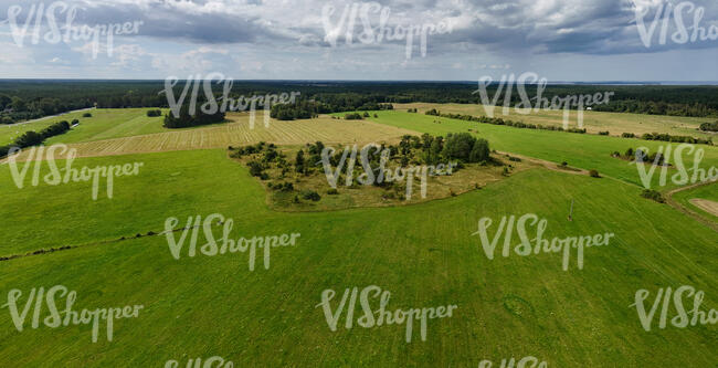 top view of green fields