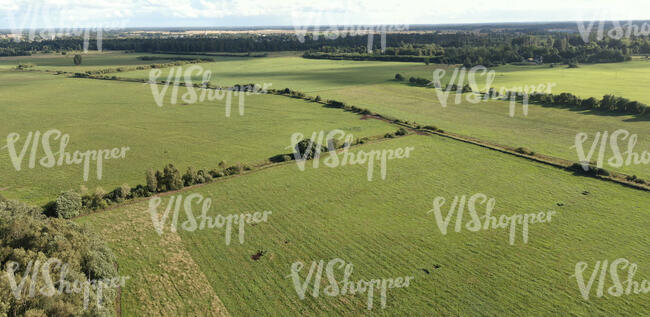 top view image of agricultural fields