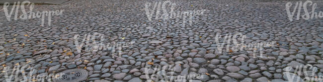 historic paved road with some autumn leaves