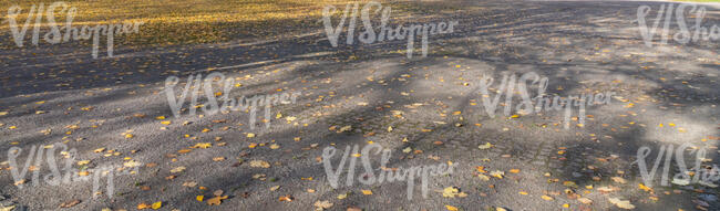 gravel and pavement mixed ground with long autumn shadows