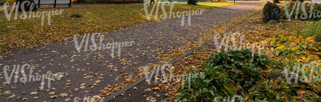 gravel road in a park in autumn