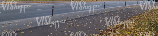 tarmac road with fallen leaves on the sidewalk