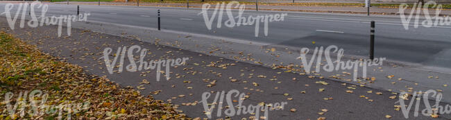 motorway with fallen leaves on the sidewalk