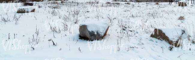 grass and stones covered with snow