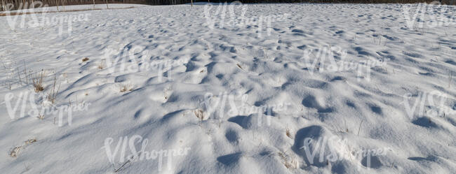 sunny snowy field