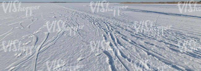 large field of snow with some tracks in sunlight