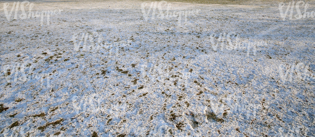 snow-covered ground