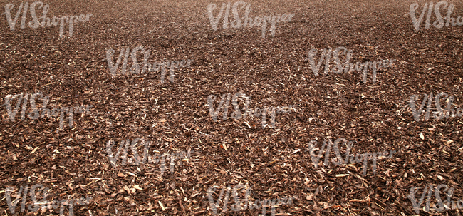 ground covered with mulch