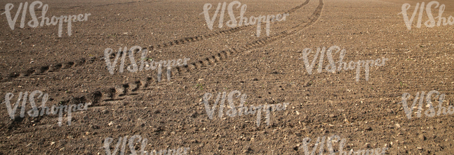 field with tractor tracks