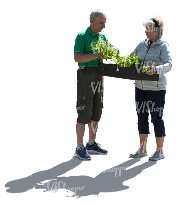 backlit elderly people planting plants in the garden