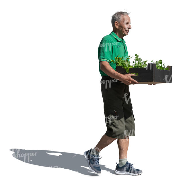 backlit older man carrying plants in the garden