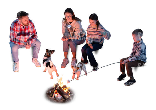 top view of family with kids and dogs sitting around bonfire