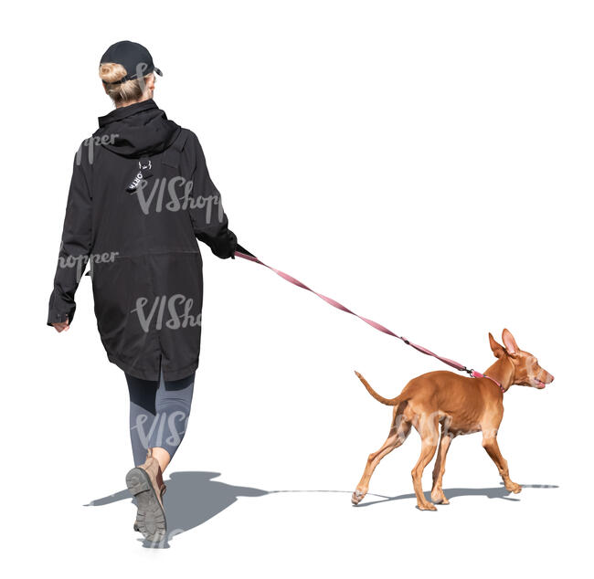 cut out woman walking a dog