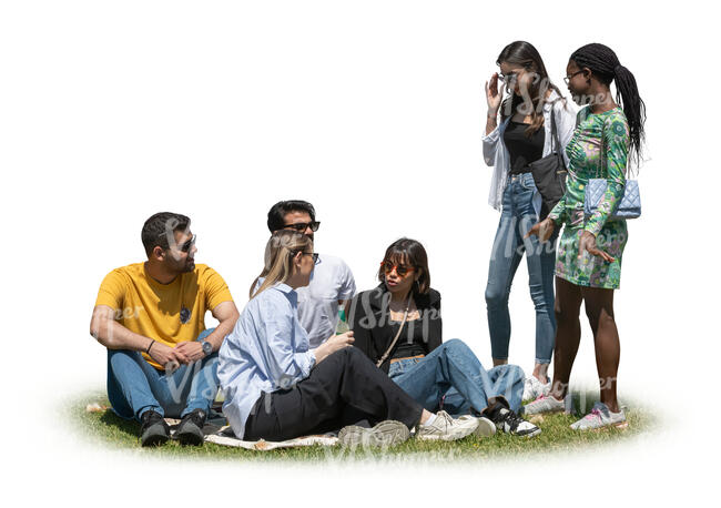 group of friends sitting and hanging in the park on the grass