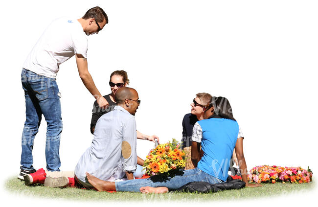 group of young people having a picnic