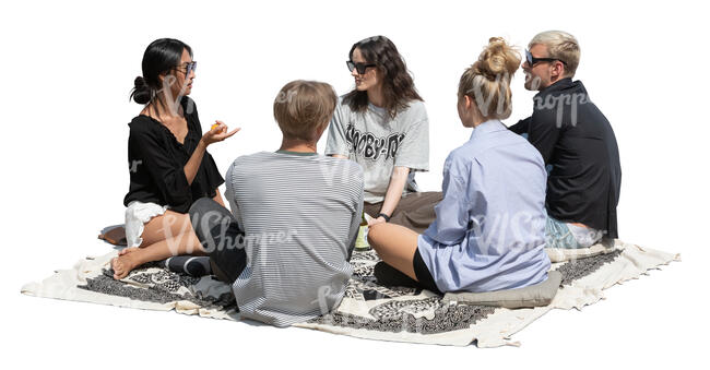 cut out group of young people having a picnic