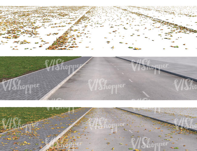 rendered street with fallen leaves