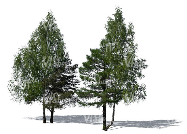 cut out group of different green trees