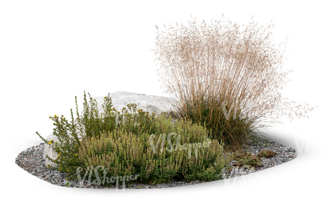 flowerbed with grass and stones and plants