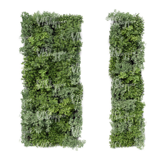 rendering of a green wall