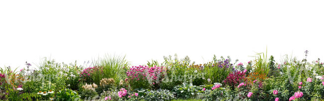 cut out large colourful flowerbed in foreground