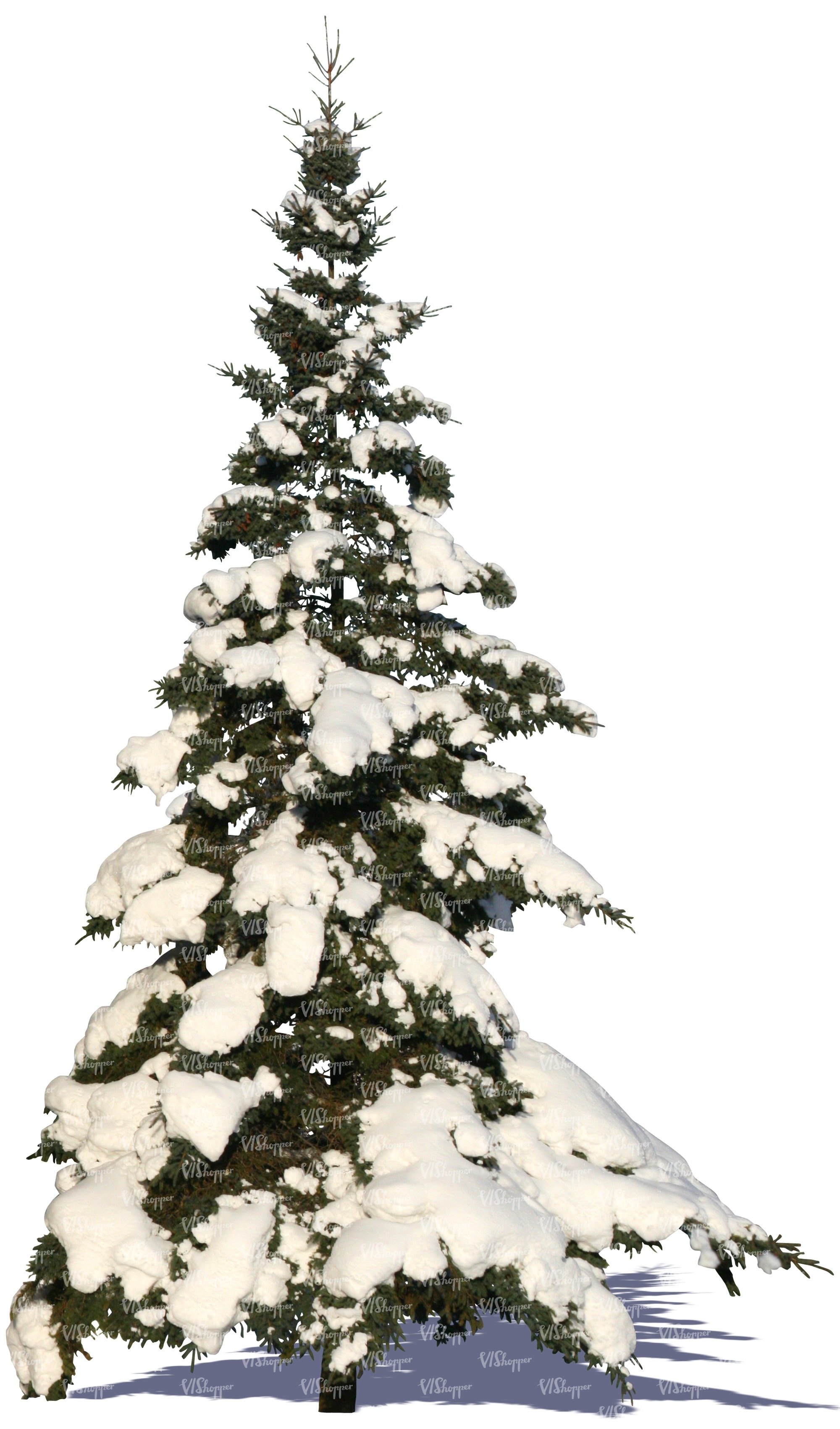 cut out snowy fir - VIShopper