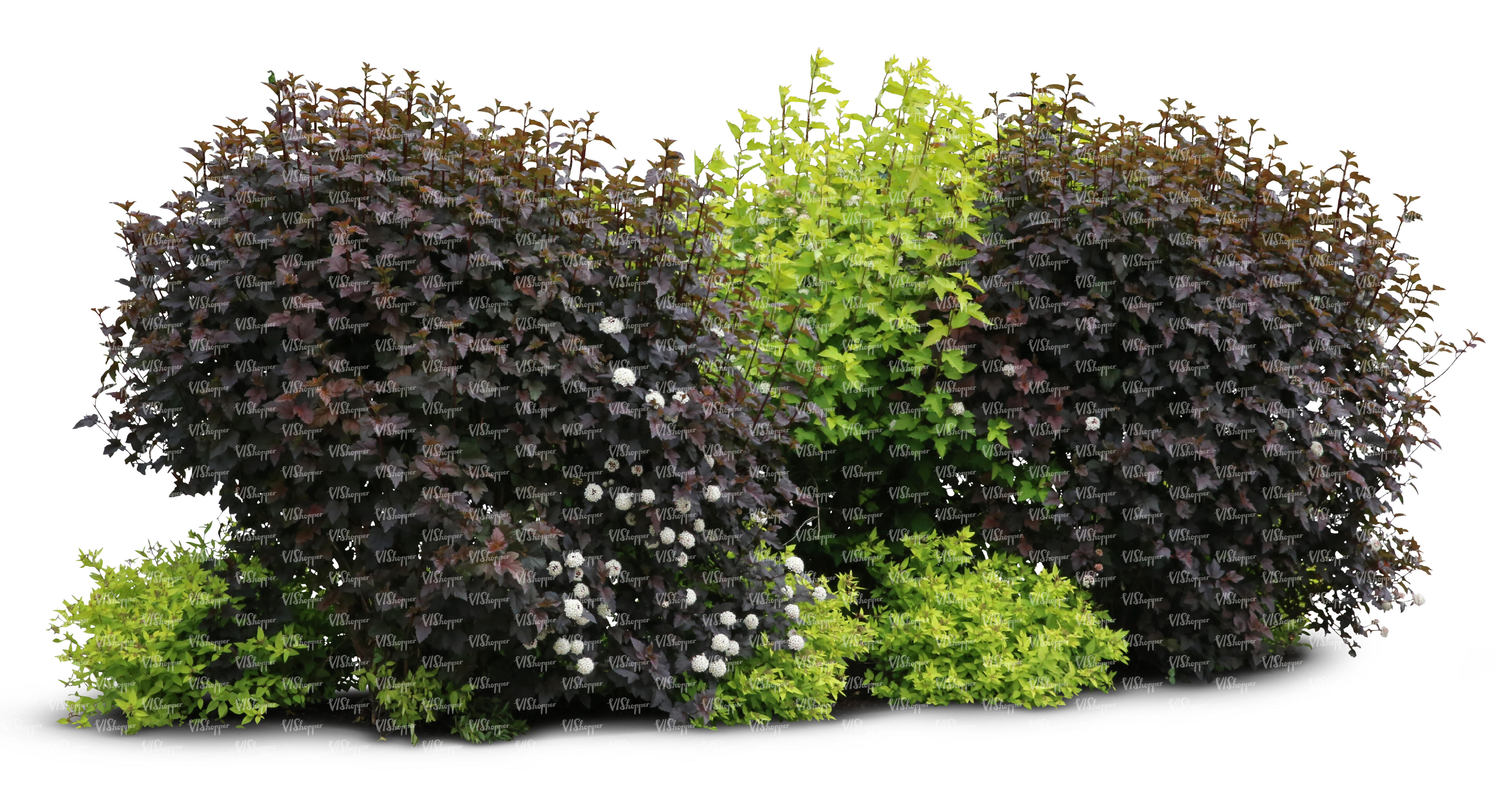 cut-out-group-of-bushes-cut-out-trees-and-plants-vishopper